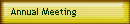 Annual Meeting